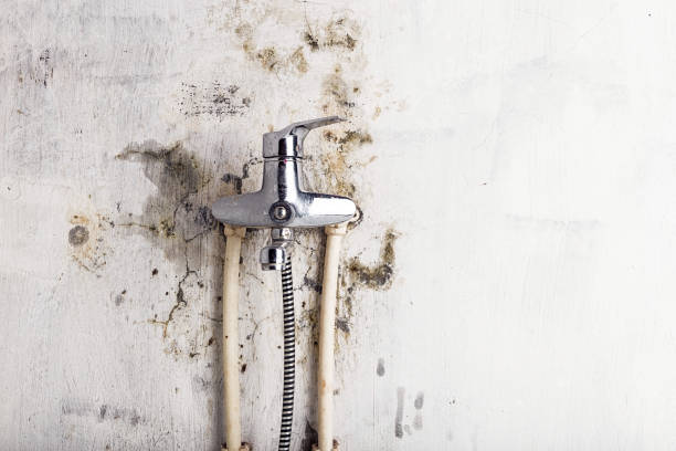 Best Mold Testing  in Huntley, IL
