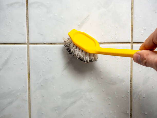 Best Attic Mold Removal  in Huntley, IL