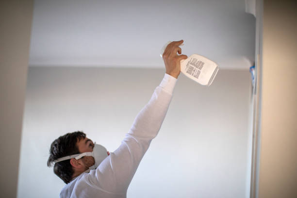 Best Best Mold Removal Companies  in Huntley, IL