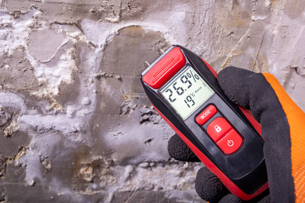 Best Office Mold Removal Services  in Huntley, IL
