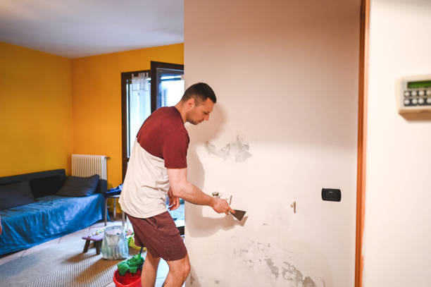 Best Best Mold Removal Companies  in Huntley, IL